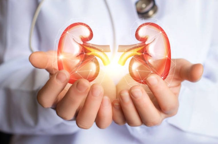 8 ways to keep your kidneys healthy