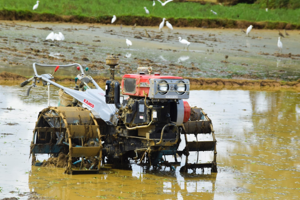 a boat tractor working in a rice field