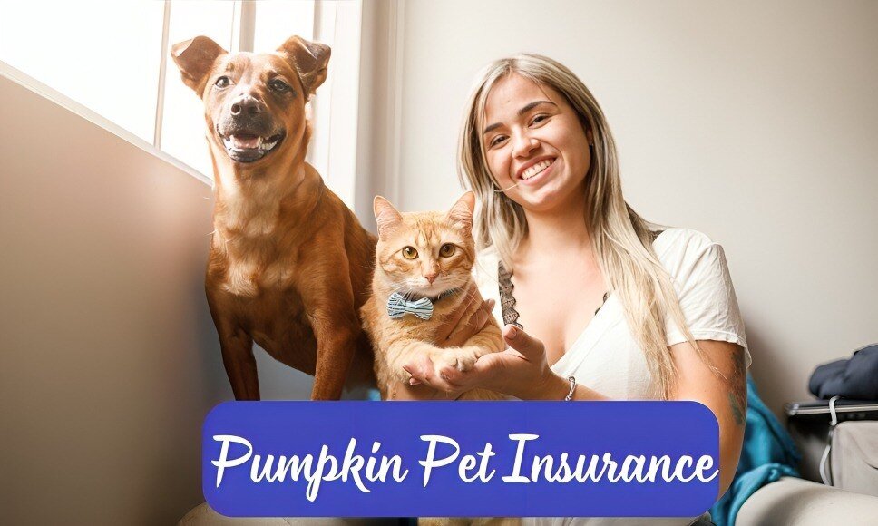 Pumpkin Pet Insurance: A Comprehensive Guide