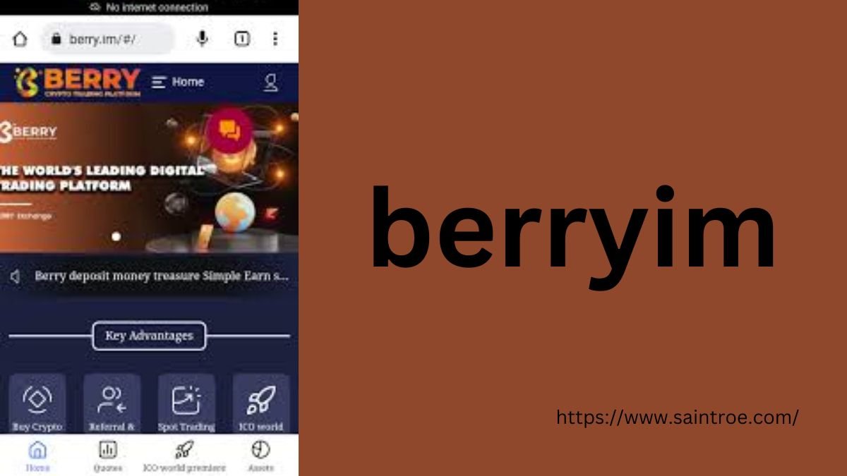 Unveiling the Dark Side: A Deep Dive into Berryim – A Crypto Trading Scam